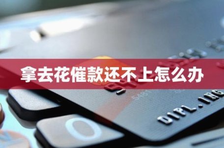 如何在拿去花实现提现？