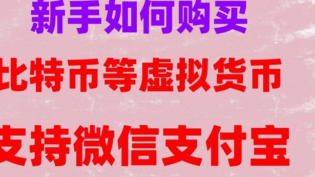 大众点评白条借钱攻略