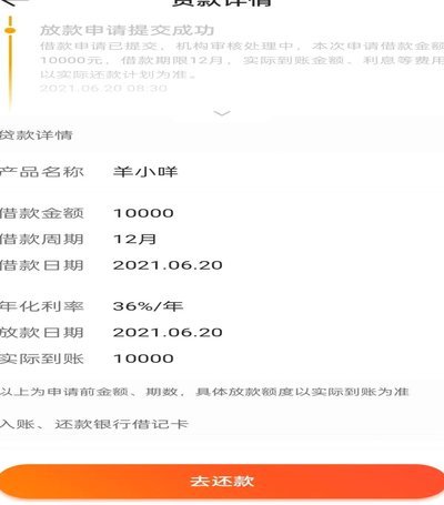 羊小咩：数字金融的失控