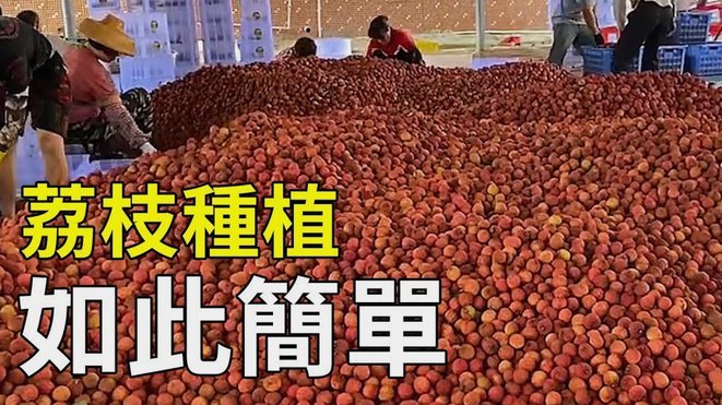 便荔卡包：省钱购物新选择