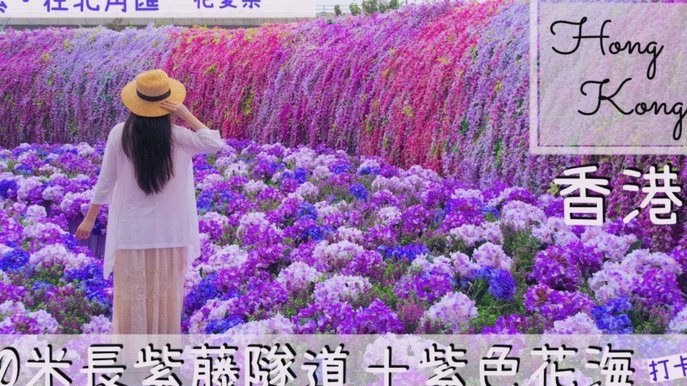 2021年拿去花套现风险与机遇