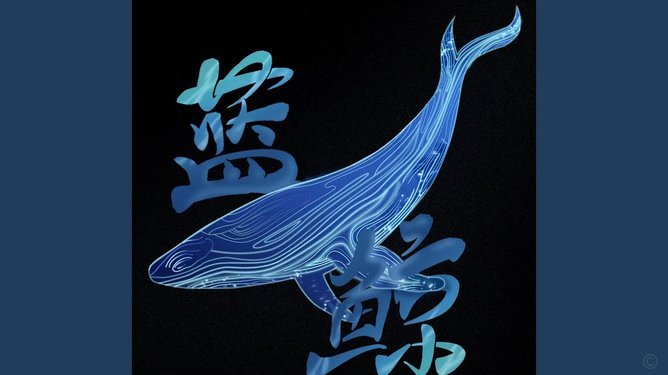 蓝鲸花呗靠谱吗？深度调查其正规性与风险点