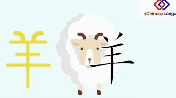 羊小咩额度在哪里申请