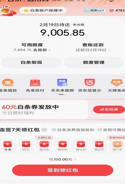 如何灵活运用白条额度