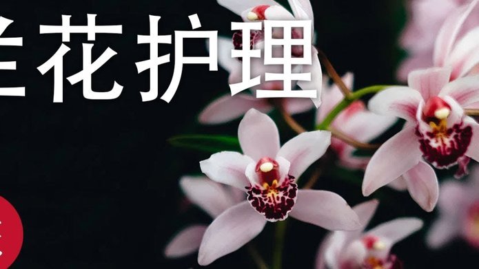 花呗套现被封多久能解封