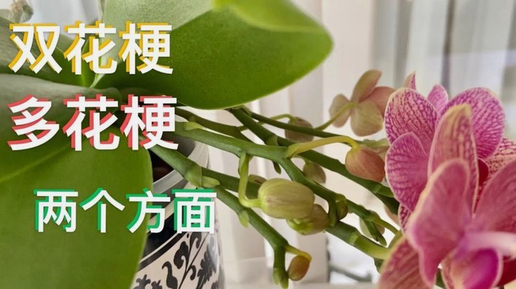 花呗帮别人套现多久解封啊