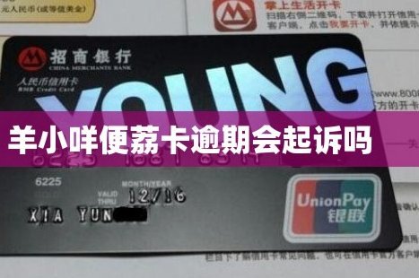便荔卡包享花卡能套现吗安全吗