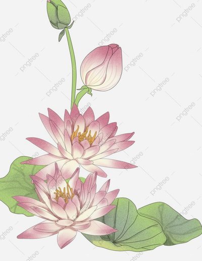 享花卡额度提现