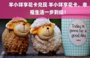 羊小咩享花卡怎么用