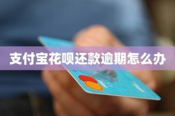 花呗卡顿？别慌，细致排查原因