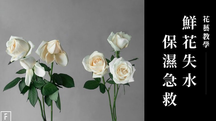 花呗提现全攻略，别踩坑