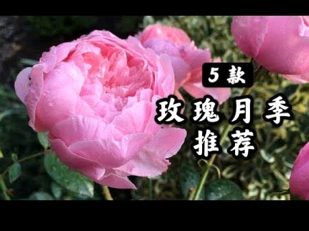 花呗转账给自己？避坑指南与详细操作步骤详解