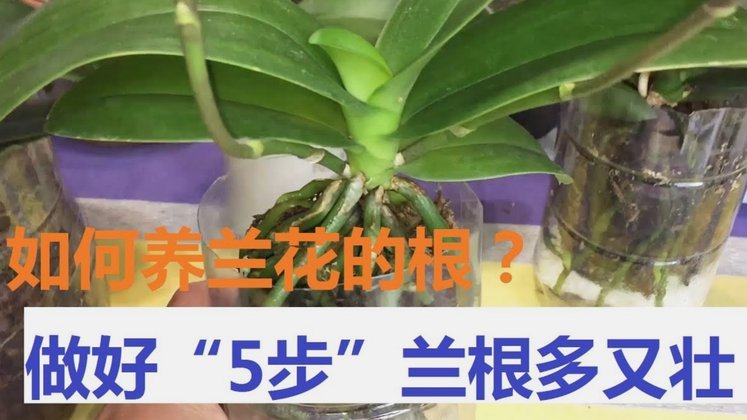 花呗怎么转给自己