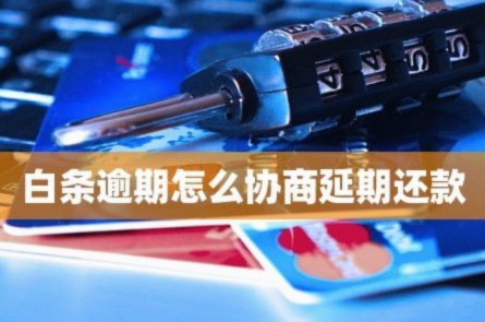 白条逾期怎么协商分期
