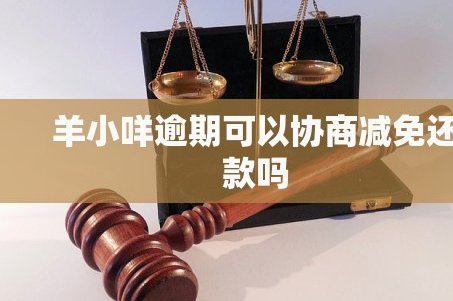 羊小咩一次性结清指南