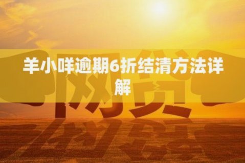 羊小咩怎么一次性结清