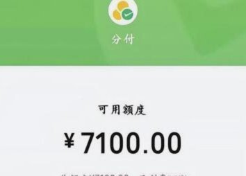 分付怎么提升额度