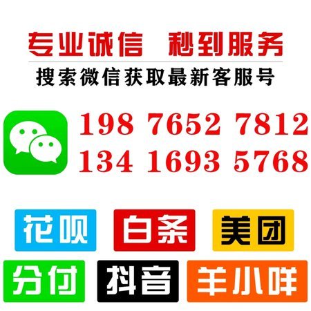 揭秘花呗专业版的信用理财策略