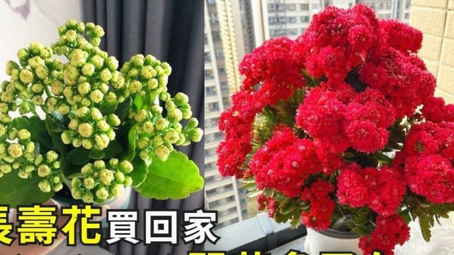 怎么花呗套花呗