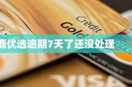 鹿优选在哪里还款