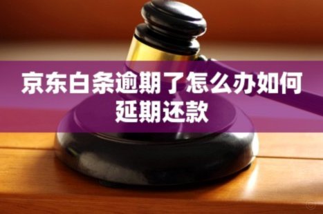 白条延期还款攻略