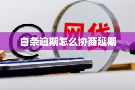 白条怎么延期几天
