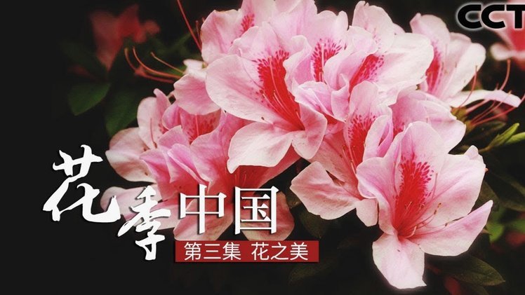 携程拿去花哪个平台可以帮套现