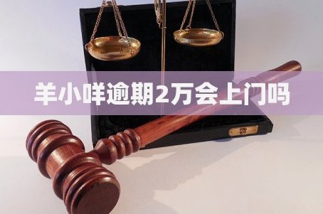 羊小咩会起诉吗