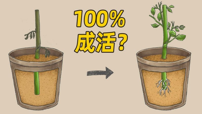 花钱套现：别轻易“拿去”