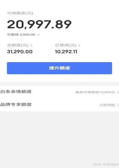 白条付费额度套出来需要扫什么码