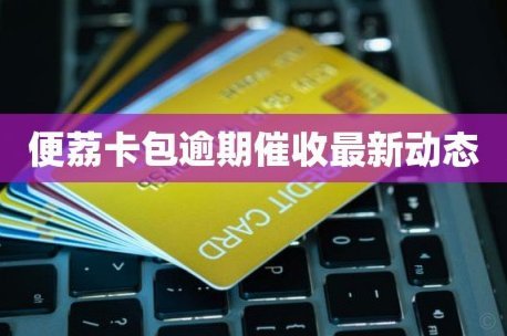 便荔卡包：社交电商新平台的运作解析