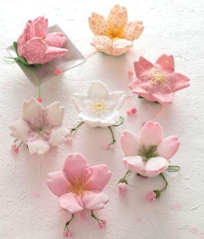 享花卡套卡秘诀：耐心细致解惑