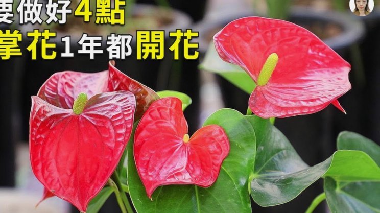 携程拿去花：额度多久能用？耐心看完！
