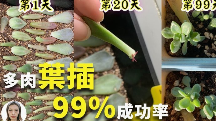 携程拿去花怎么用不了多久能用
