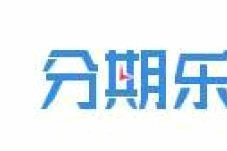 分期乐的分支企业概览与发展挑战