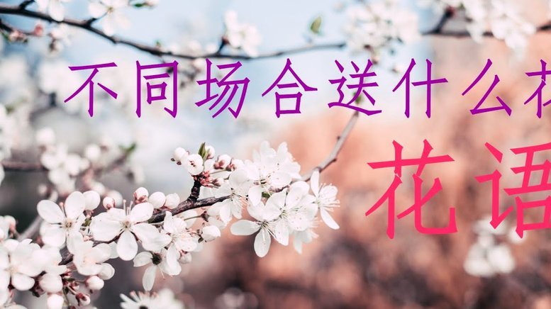 花呗如何实现转账至银行卡功能？
