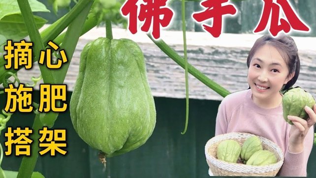 拿去花如何提现秒到？优化账户与银行选择技巧