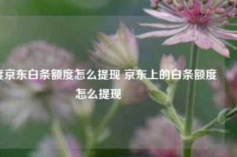京东白条提现全攻略