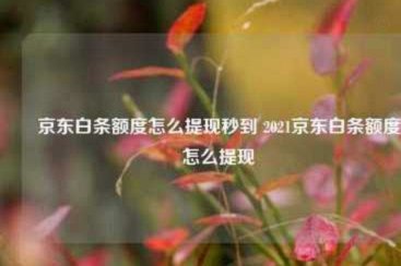 京东白条如何提现?