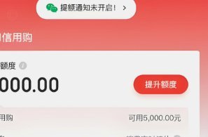 白条取现次数背后的规则与优化建议
