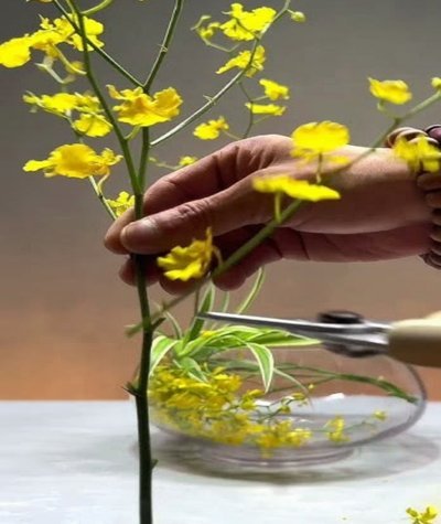 花呗套现风险大解析