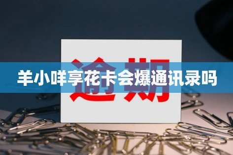 羊小咩的合法性几何？深度解析Token监管边界