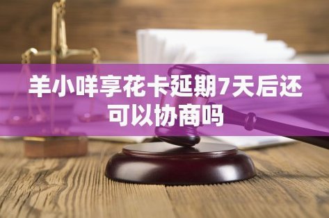 羊小咩分期策略与用户画像