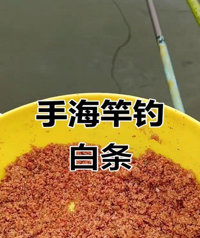 白条怎么钓最快最好
